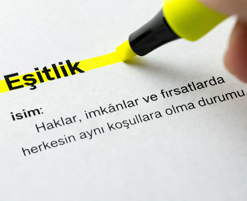 Kapsayıcılık Yolculuğu ve İletişim Rehberi